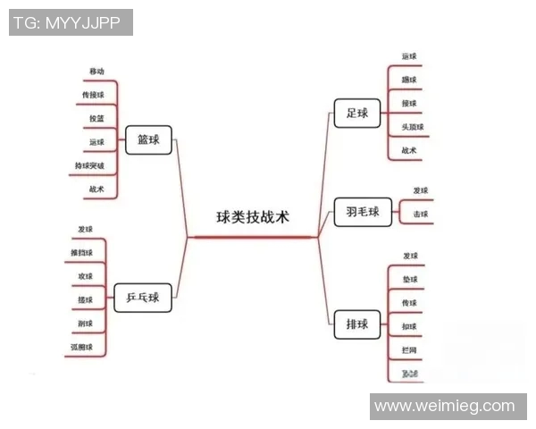 以控球后卫为核心打造篮球战术体系提升球队整体竞争力